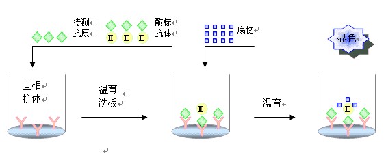 elisa实验优化方案分析总结