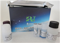 猴Ⅲ型前胶原肽(PⅢNP)ELISA试剂盒