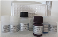 山羊白介素4(IL-4)ELISA试剂盒