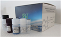 山羊C-反应蛋白(CRP)ELISA试剂盒