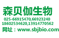 SBJ-U08092123-07-9,4-һ