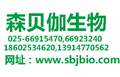 SBJ-U012111346597-50-9,N-Boc-2-