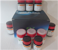 染色液/染色试剂盒产品目录