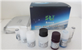 SBJ-K020猴子循环免疫复合物(CIC)ELISA检测试剂盒