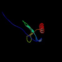 Сɼ(x)Ե1β(MIP-1β/CCL4)elisaԇ