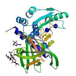 øԭ1(PAI-1)elisaԼ