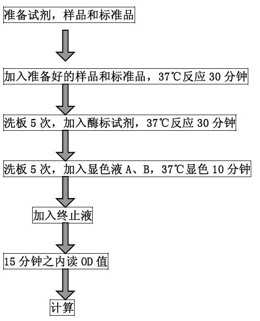 ׻ø(Methylase)elisaԼ