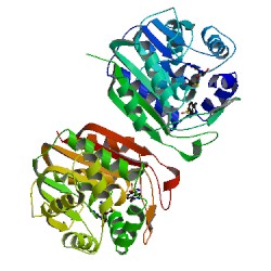 ׻ø(Methylase)elisaԼ