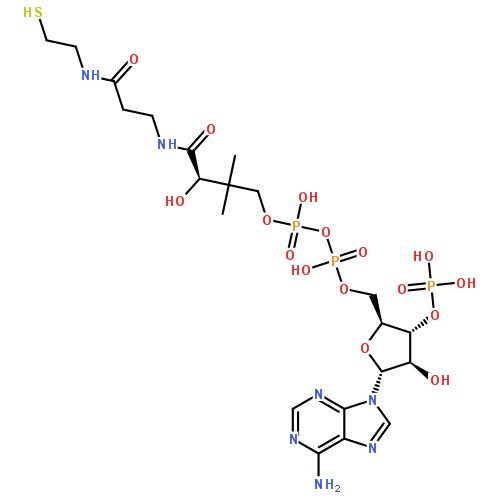 303-98-0,oø Q10